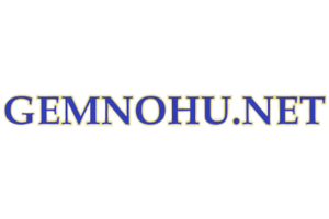 gemnohu.net